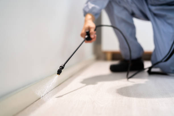 Licensed Termite Control service in Pushmataha County County, OK - Nex Pest Control