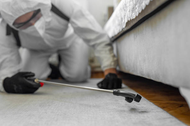 Professional Termite Control technician working in Pushmataha County County, OK